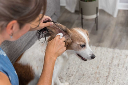 Ear Cleaning Wipes