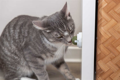 Catnip Ball with Holder