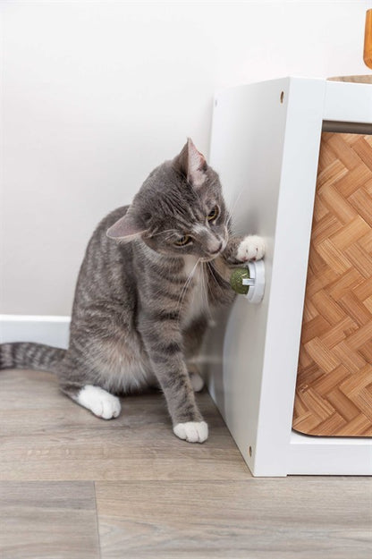 Catnip Ball with Holder