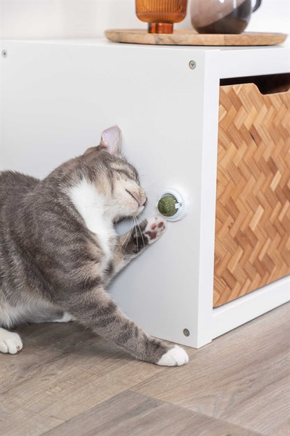 Catnip Ball with Holder