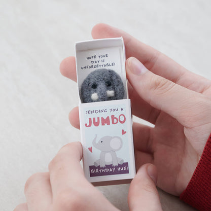 Sending You A Jumbo Birthday Hug In A Matchbox