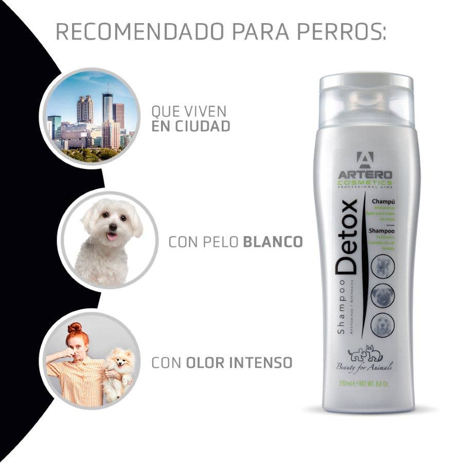 Artero Detox Shampoo Active Charcoal 250Ml