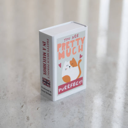 You're Purrfect Wool Felt Cat In A Matchbox