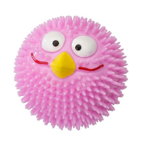 Beeztees Cat Toy Rubber Ball Lucky Bird