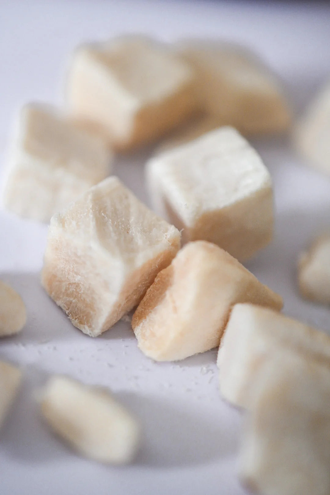 Freeze Dried Chicken Bites