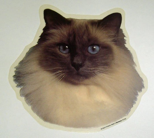 Cat Stickers 2-pack