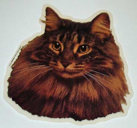 Cat Stickers 2-pack