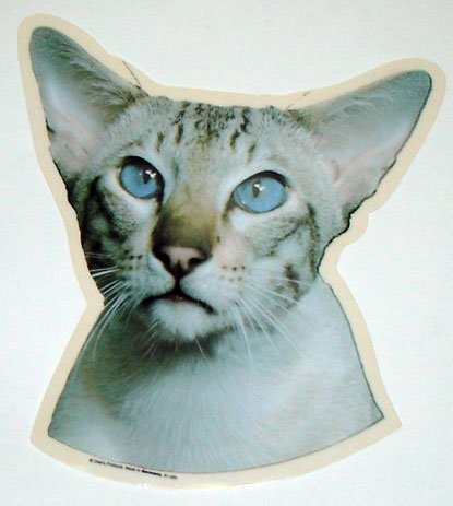 Cat Stickers 2-pack