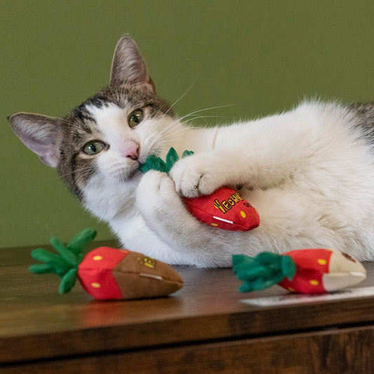 Yeowww! Catnip Cat Toy Strawberry