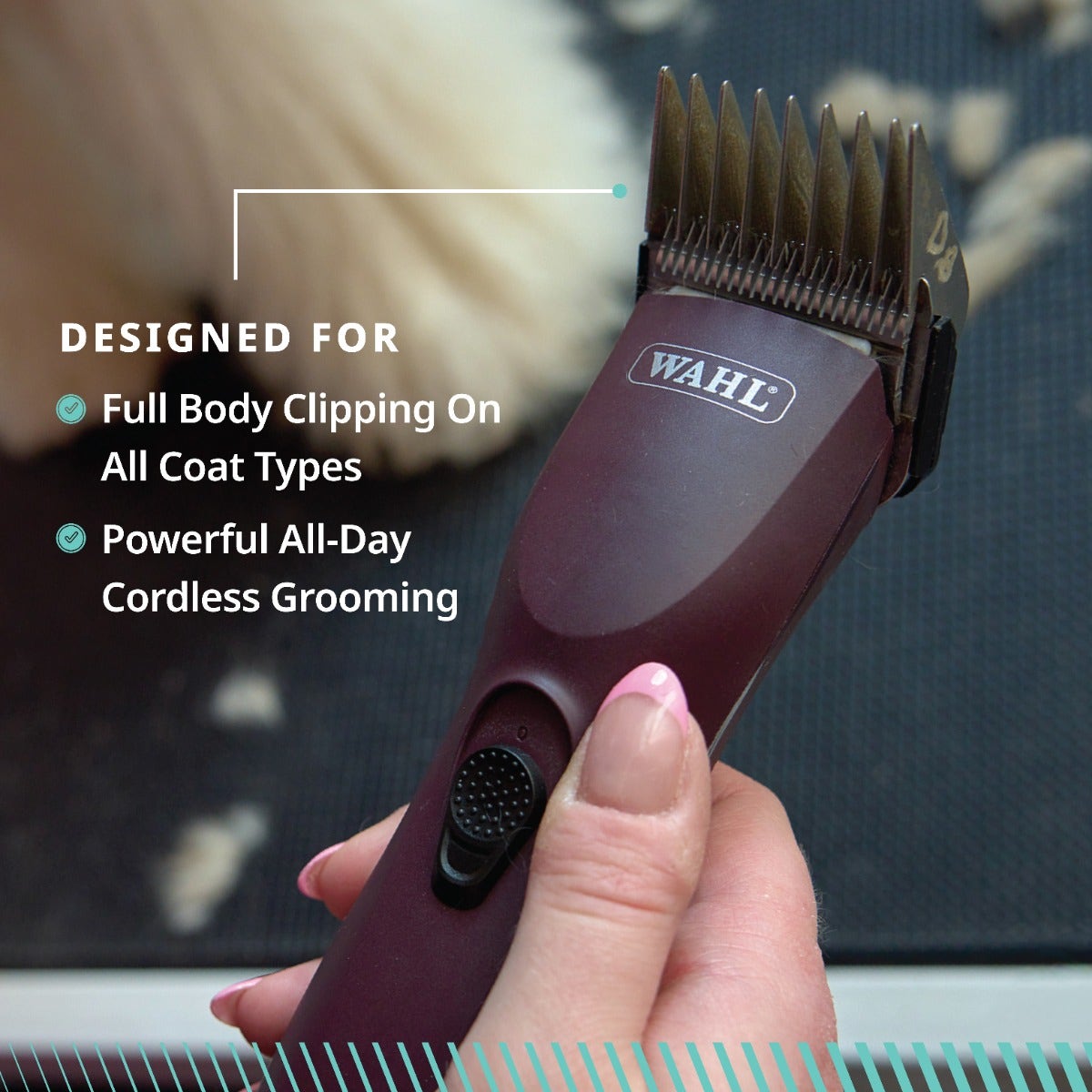 Animal Clipper WAHL KM Supera Cordless