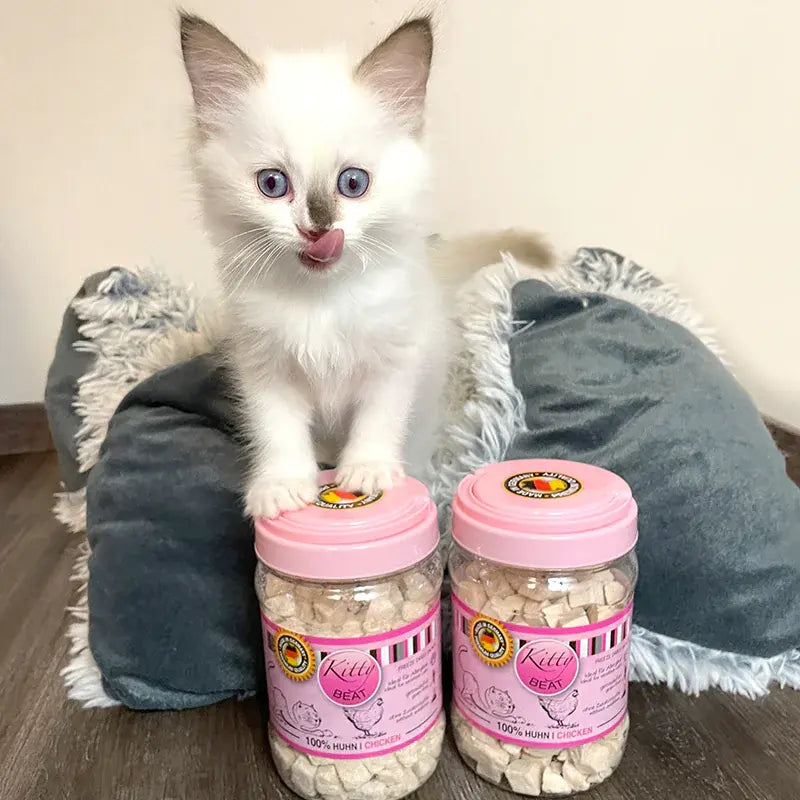 Kitty Beat Chicken Pure Freeze-dried Cubes