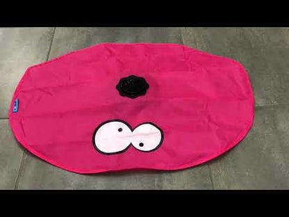 Coockoo Interactive Cat Toy Hide