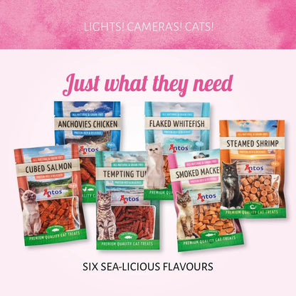 Purring Ocean Treats - Cat Selection Box