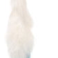 Rixt Feather Universal Replacement Toy for Cat Wand