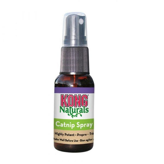KONG Catnip Premium spray