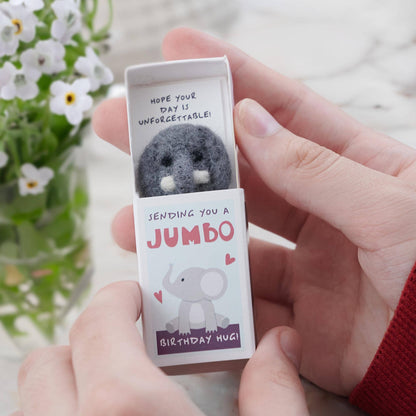 Sending You A Jumbo Birthday Hug In A Matchbox