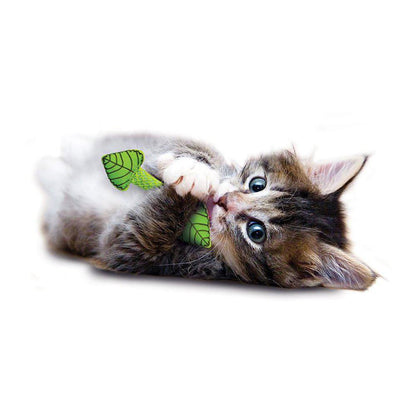 Petstages Cat Toy Fresh Breath Mint Stick