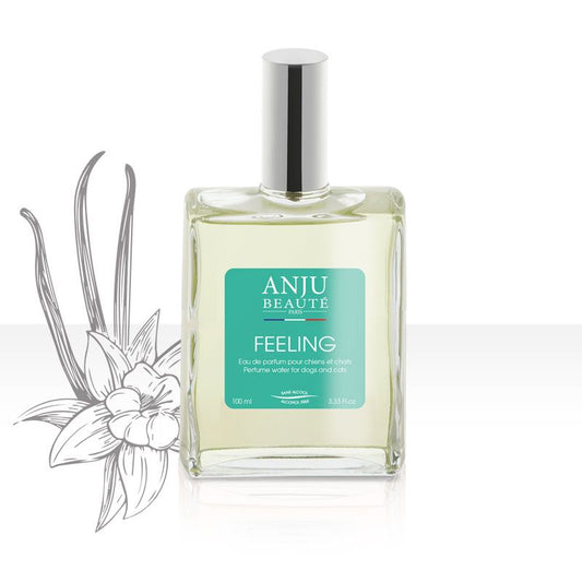 Anju Beauté "Eau de parfum" Feeling
