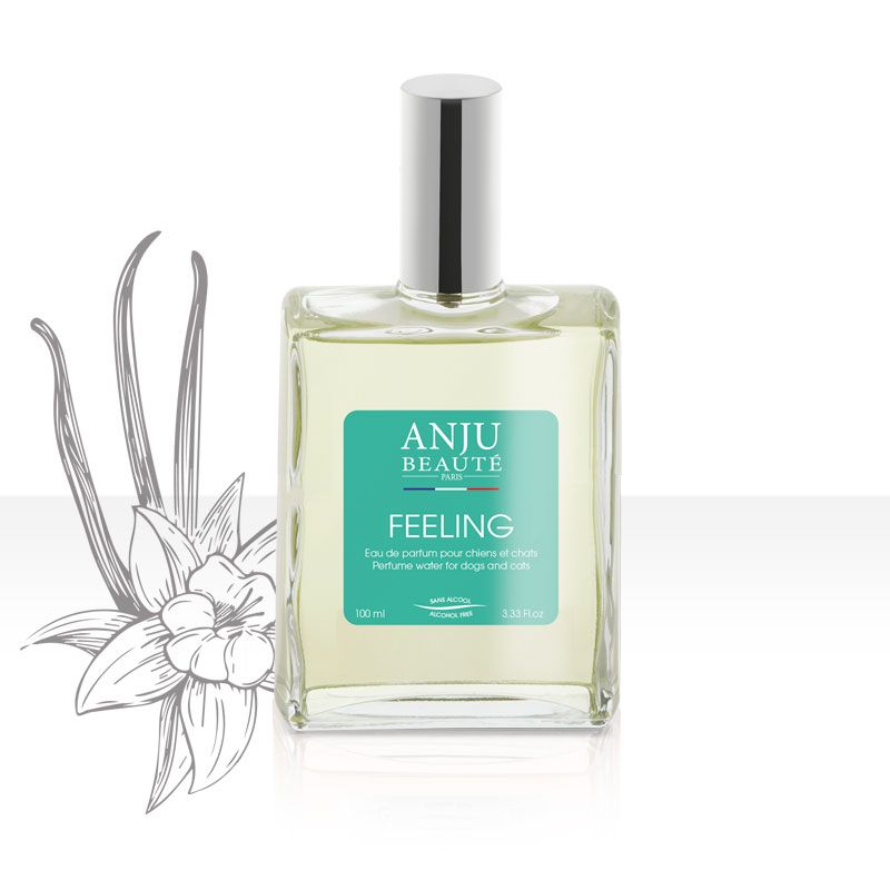 Anju Beauté "Eau de parfum" Feeling