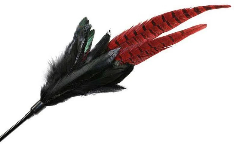 Kattvippa Purrfect Mystic Long Feather
