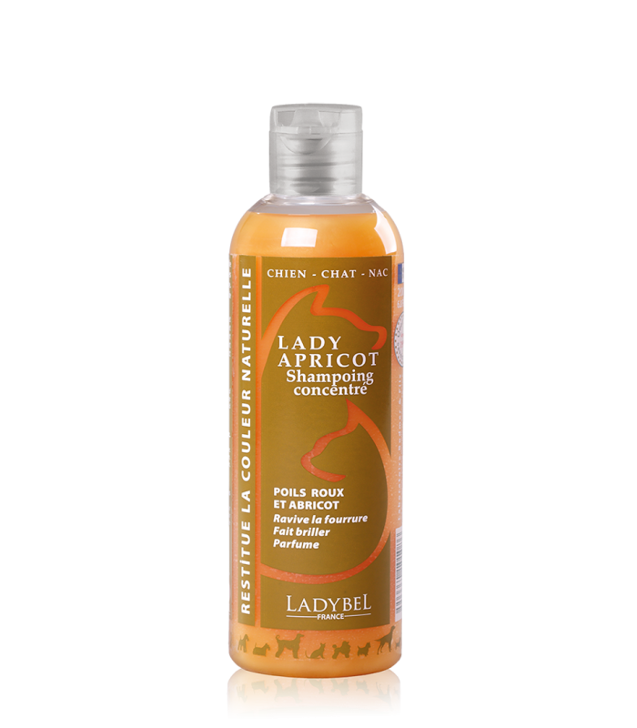 Lady Apricot Shampoo