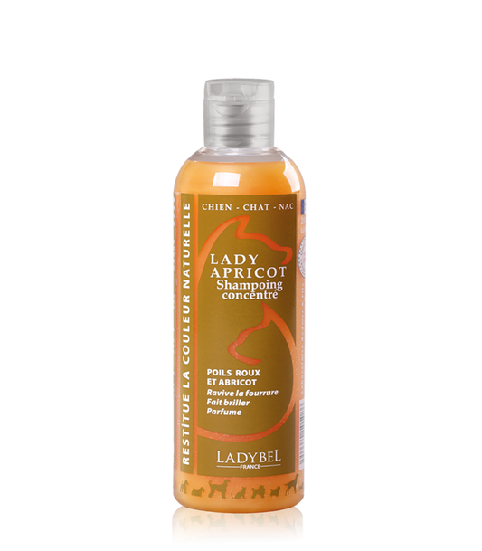 Lady Apricot Shampoo